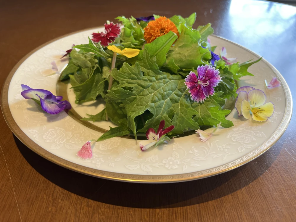 飛騨高山野菜『おおごっつぉ』エディブルフラワーミックス