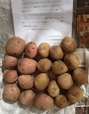 みんなの投稿の画像