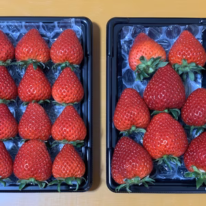 【希少あまりん】２パック(500g) 朝採れ！