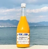 石地温州みかんまる搾りジュース　100%ストレートみかんジュース　愛媛県産