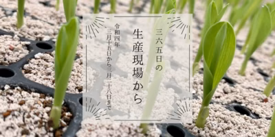 3月15〜28日の生産現場から、清明の38投稿！