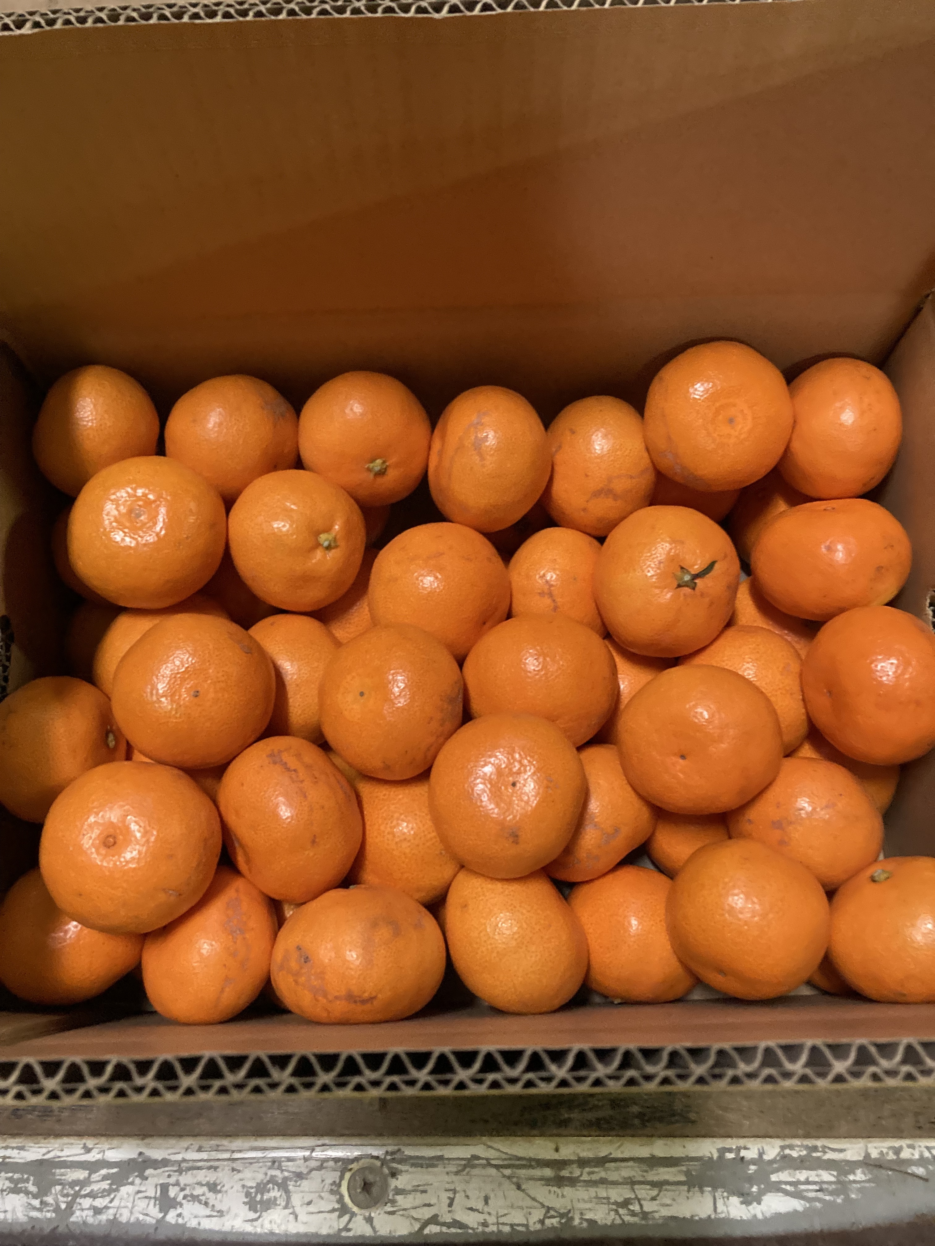 濃厚3S,2Sミカン｜みかんの商品詳細｜ポケットマルシェ｜産地直送で旬