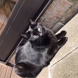 たばちゃ