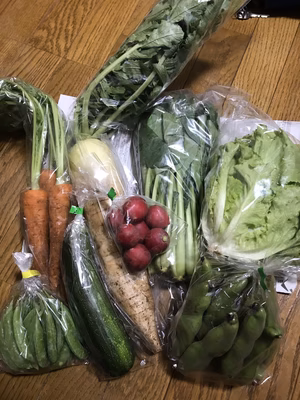 みんなの投稿の画像