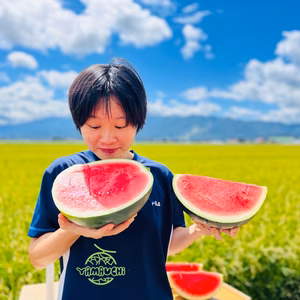 種無しスイカ　一玉　６ＫＧ～
