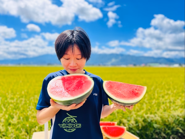 種無しスイカ　一玉　6ＫＧ～