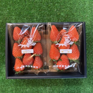 完熟いちご2品種　化粧箱入り　