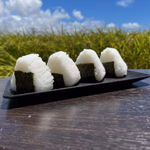 ※令和7年新米※ 高知産コシヒカリ