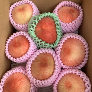 完熟桃で柔らかく品種お任せの甘い汁がしたたるジューシー桃