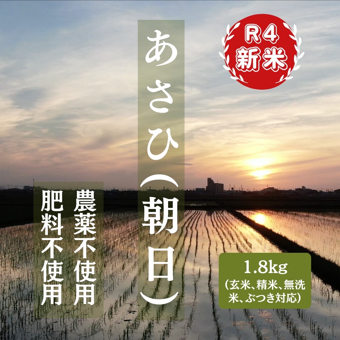 米・穀類の朝日の商品一覧｜ポケットマルシェ｜産直(産地直送)通販 - 旬の果物・野菜・魚介をお取り寄せ