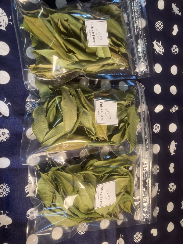 レモンよりレモン！！レモンマートル（ドライ）6g✖️３パック