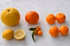 ソネカキ　柑橘類詰合わせ