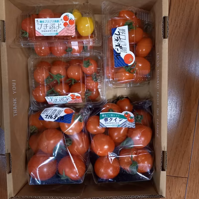 みんなの投稿の画像