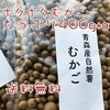 送料無料・プレゼント付き！青森県産山芋のむかご400g＋α