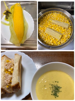 みんなの投稿の画像