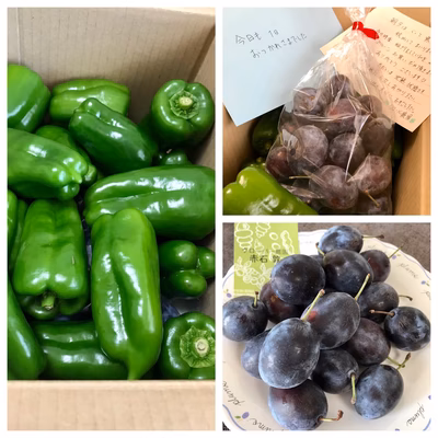 みんなの投稿の画像