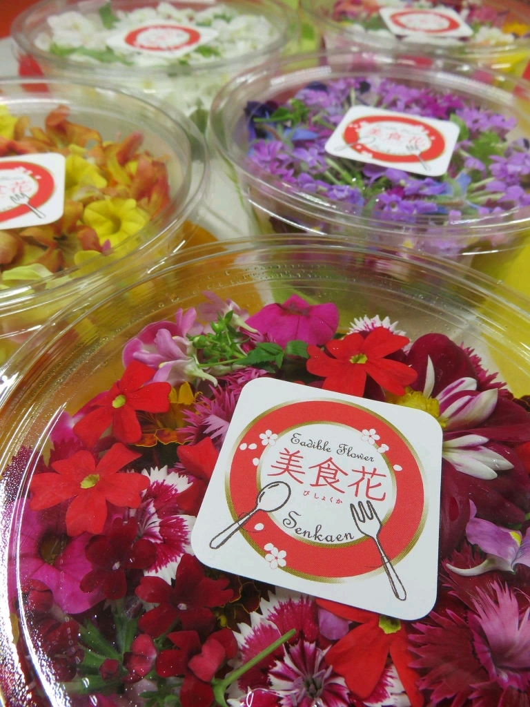 エディブルフラワー「美食花」MIX｜エディブルフラワー・食用花の商品
