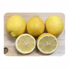 【数量限定】レモン　訳あり