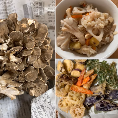 みんなの投稿の画像