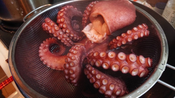 松島牡蠣屋 菊地桂太さんへのみんなの投稿 農家漁師から産地直送の通販 ポケットマルシェ