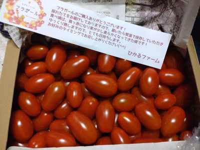 みんなの投稿の画像