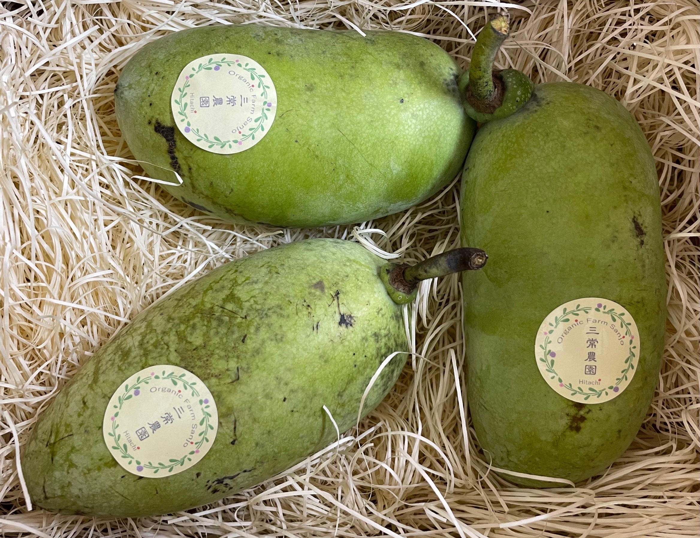 ポポーの通販・お取り寄せ商品｜果物｜ポケットマルシェ｜産地直送で旬