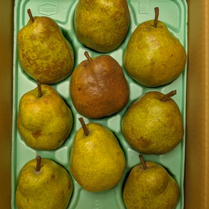 ラ・フランスB級品