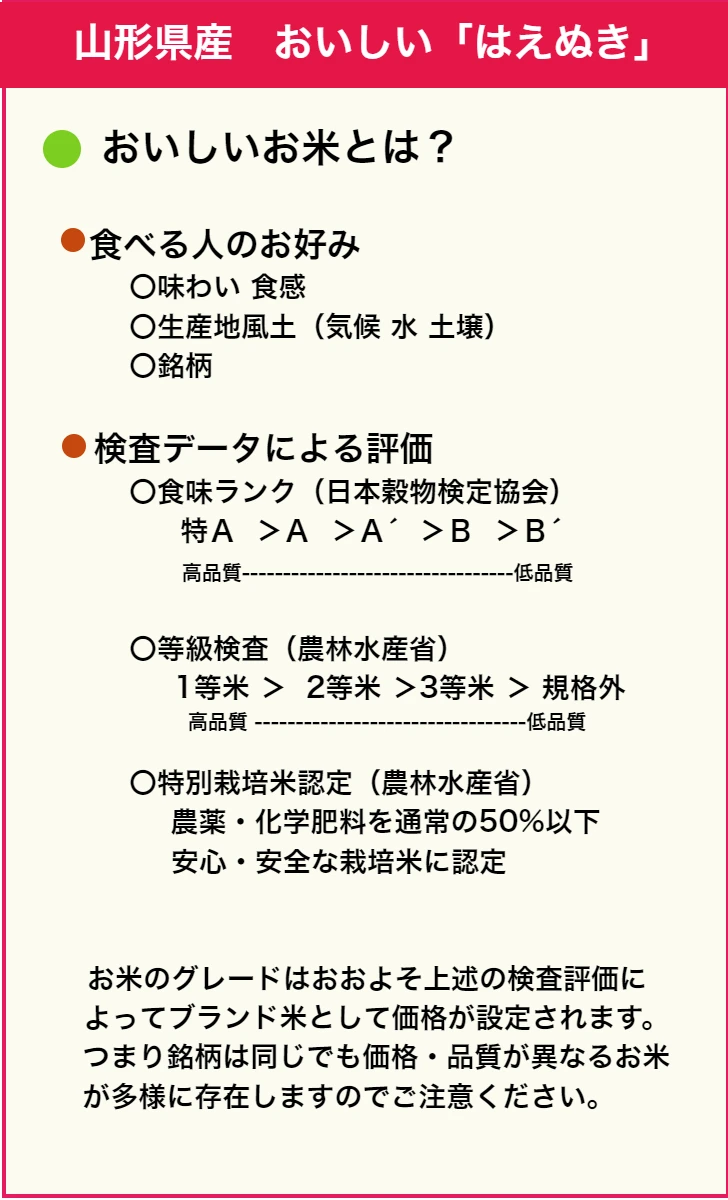 【新米】「雪若丸・はえぬき セット」各５kg 2023年 精米 無洗米 山形県産