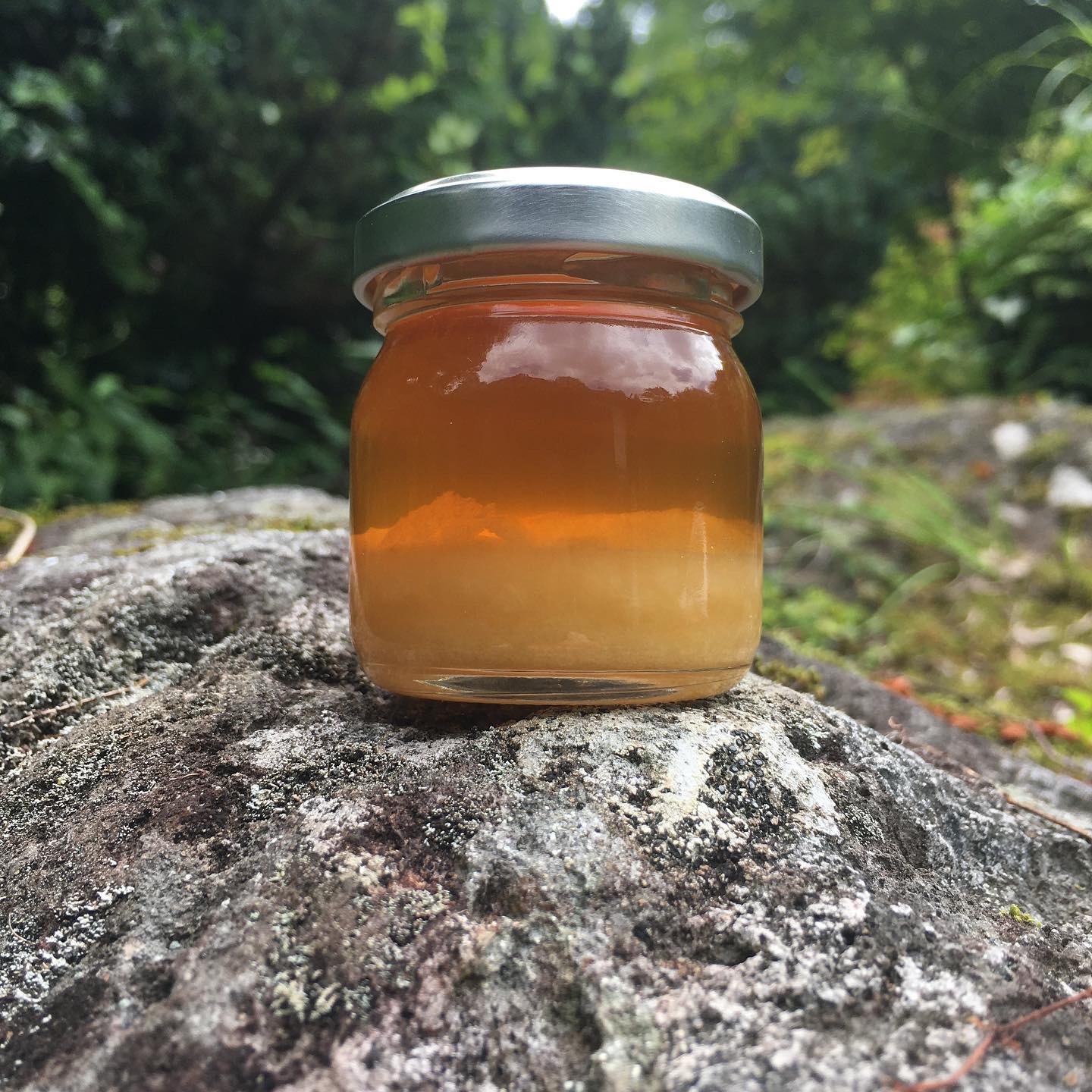 日本ミツバチ完熟蜂蜜(すっきり味)150g×2