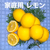 無消毒レモン 〜酸とビタミンたっぷり〜大小混 家庭用 
