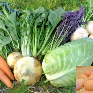 単発、旬のお野菜と卵セット(小セット、中セット)平飼い有精卵6個　クール便