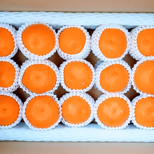 [今が旬贈答用]中玉はるみ晩柑（15玉箱詰め冷蔵便)和歌山産