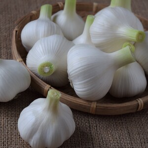 多品目栽培農家の新にんにく（無農薬・化学肥料不使用）1kg