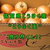 【今だけ!】訳あり?良質✨佐賀県江北町産玉ねぎ10kg