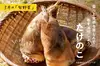 【第4週お届け】季節を味わう　旬のお野菜定期便