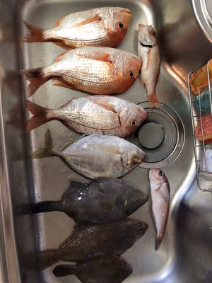 みんなの投稿の画像