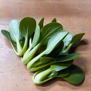 ミニ青梗菜　1パック10株入り