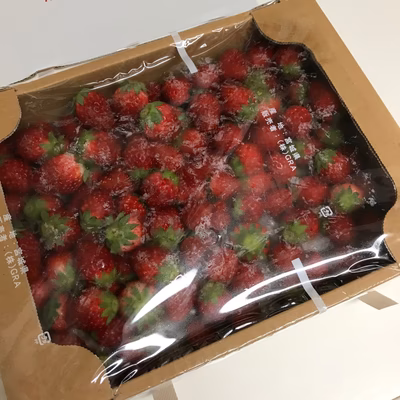 みんなの投稿の画像