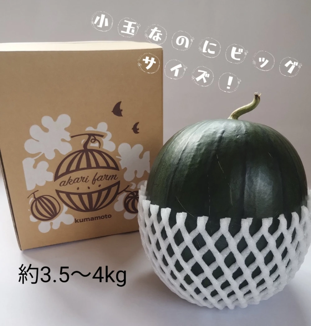 ファッションなデザイン 熊本黒小玉すいか3玉入り