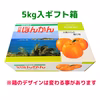 【贈答用】宮崎県産・芳香高い「日南ポンカン」(5kg)