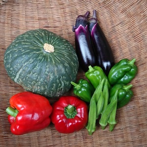 夏のお野菜セット