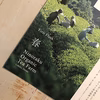 オーガニックの本格和紅茶 べにふうきの春摘み First Flush