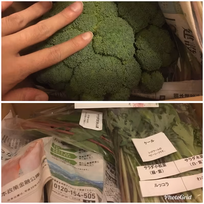 みんなの投稿の画像