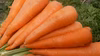 緑黄色野菜のリーダー。まるっと大きなにんじん