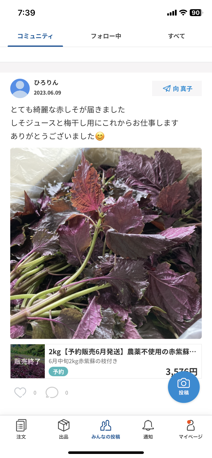 赤紫蘇 無農薬 値下げ - 野菜