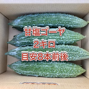 【鹿児島産】甘塩ゴーヤ箱込み2キロ^_^