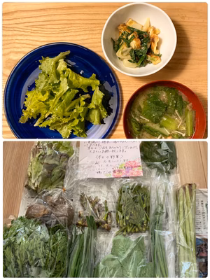 みんなの投稿の画像