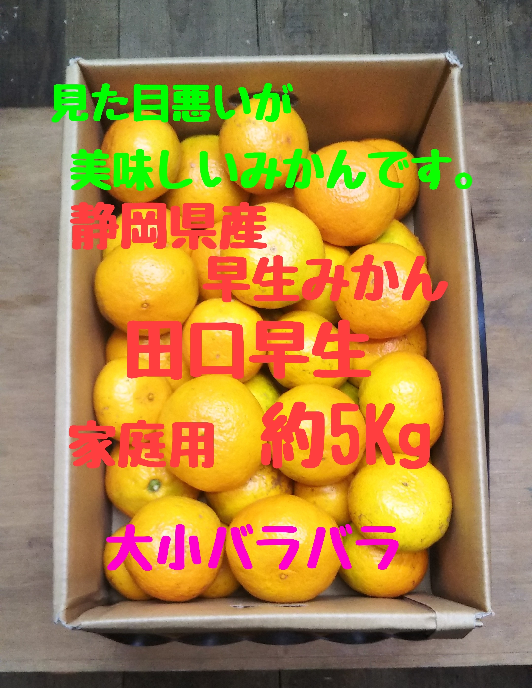 山猫まりん　和歌山県産　田口早生みかん 訳あり10kg 2箱 田口早生の産直通販・お取り寄せ商品｜ポケットマルシェ｜産地