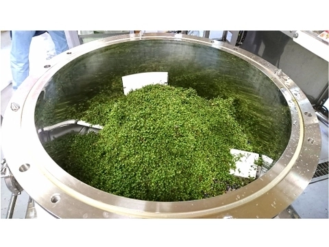 《煮出し専用》酵素が生きてる！うまぶどう茶★たっぷり5ｇティーバッグ入り