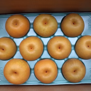 呉羽梨・新高_100サイズ（約5kg）_10個入り